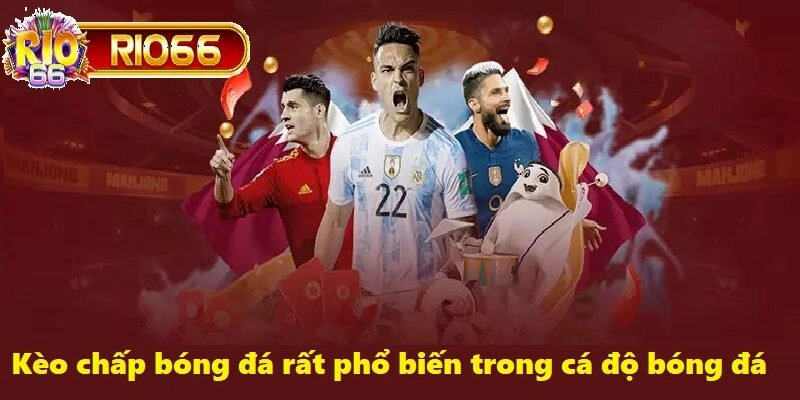 Làm Thế Nào Để Đặt Cược Kèo Chấp Bóng Đá Một Cách Hợp Lý?